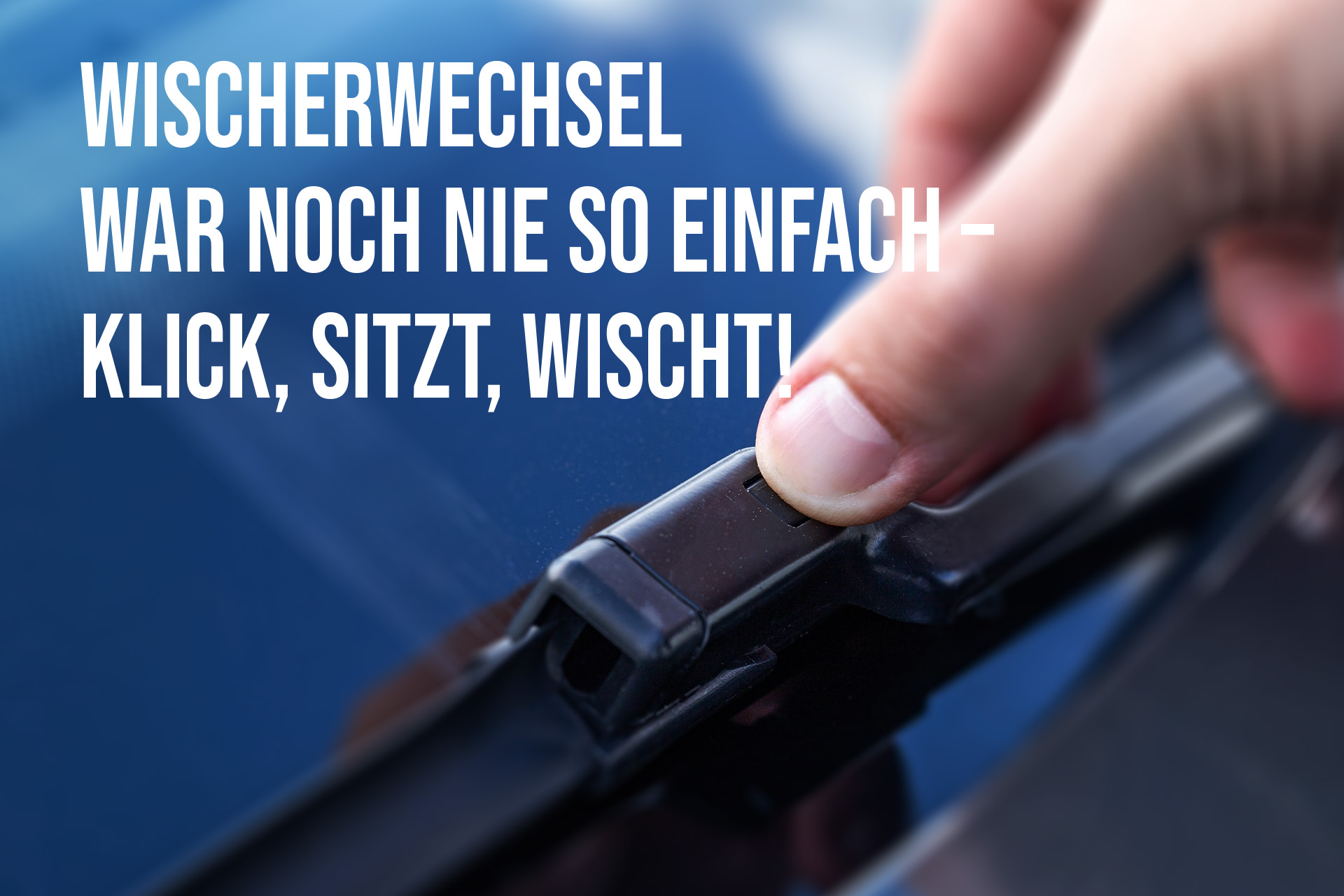 Zeichenflche 3