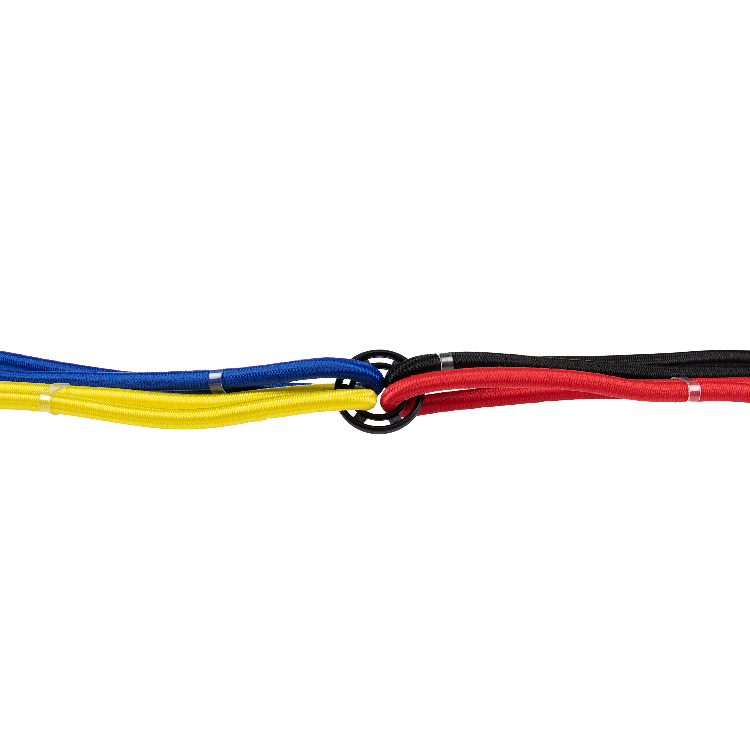 Gepäckspanner Set | alca® Transport Flex Oktopus